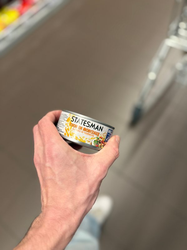 Tonijnstukken in Zonnebloemolie